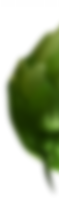 slider-img2-4.png slider-img2-4.png
