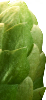 slider-img2-7.png slider-img2-7.png