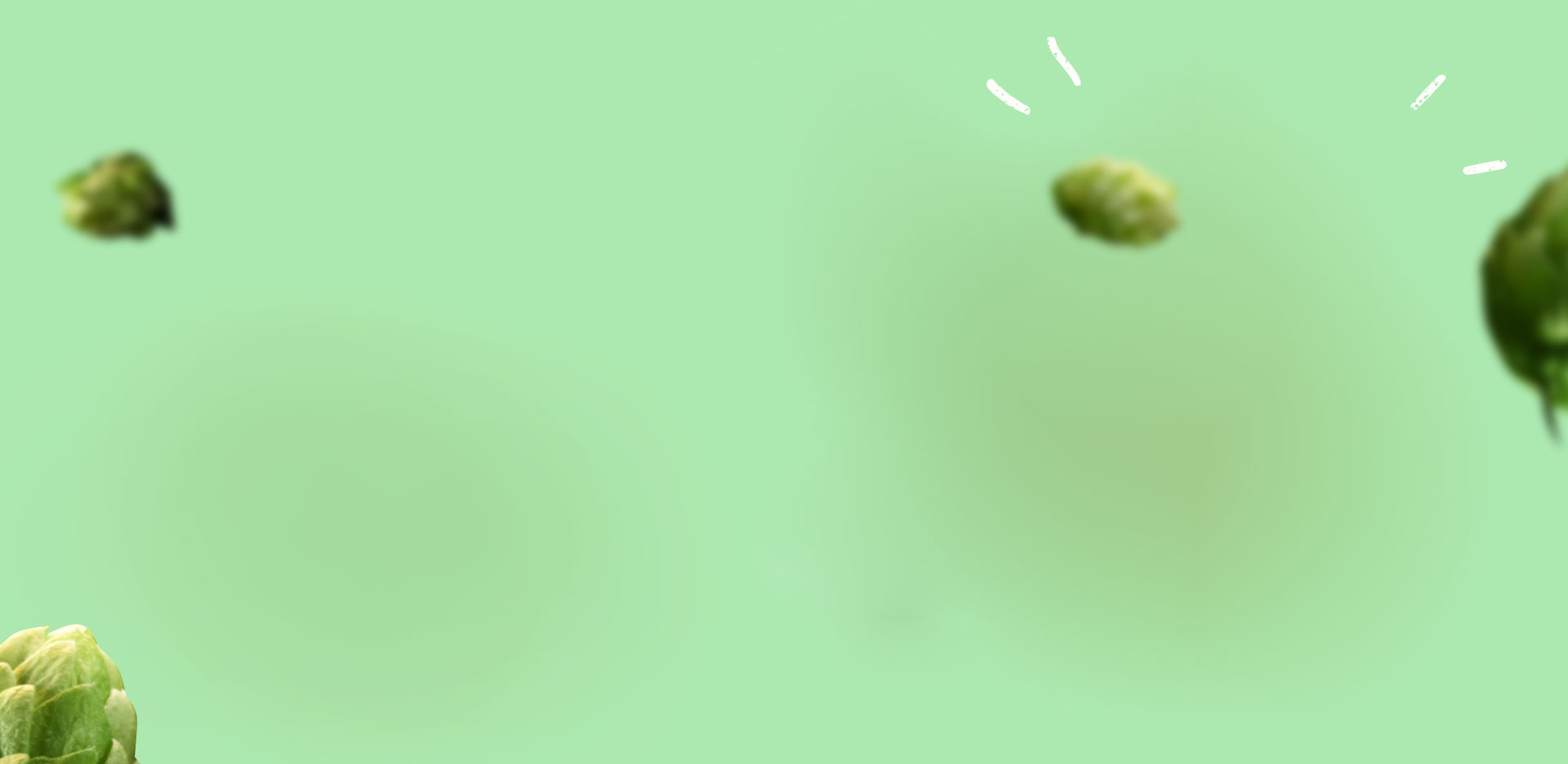 slider1-2.jpg