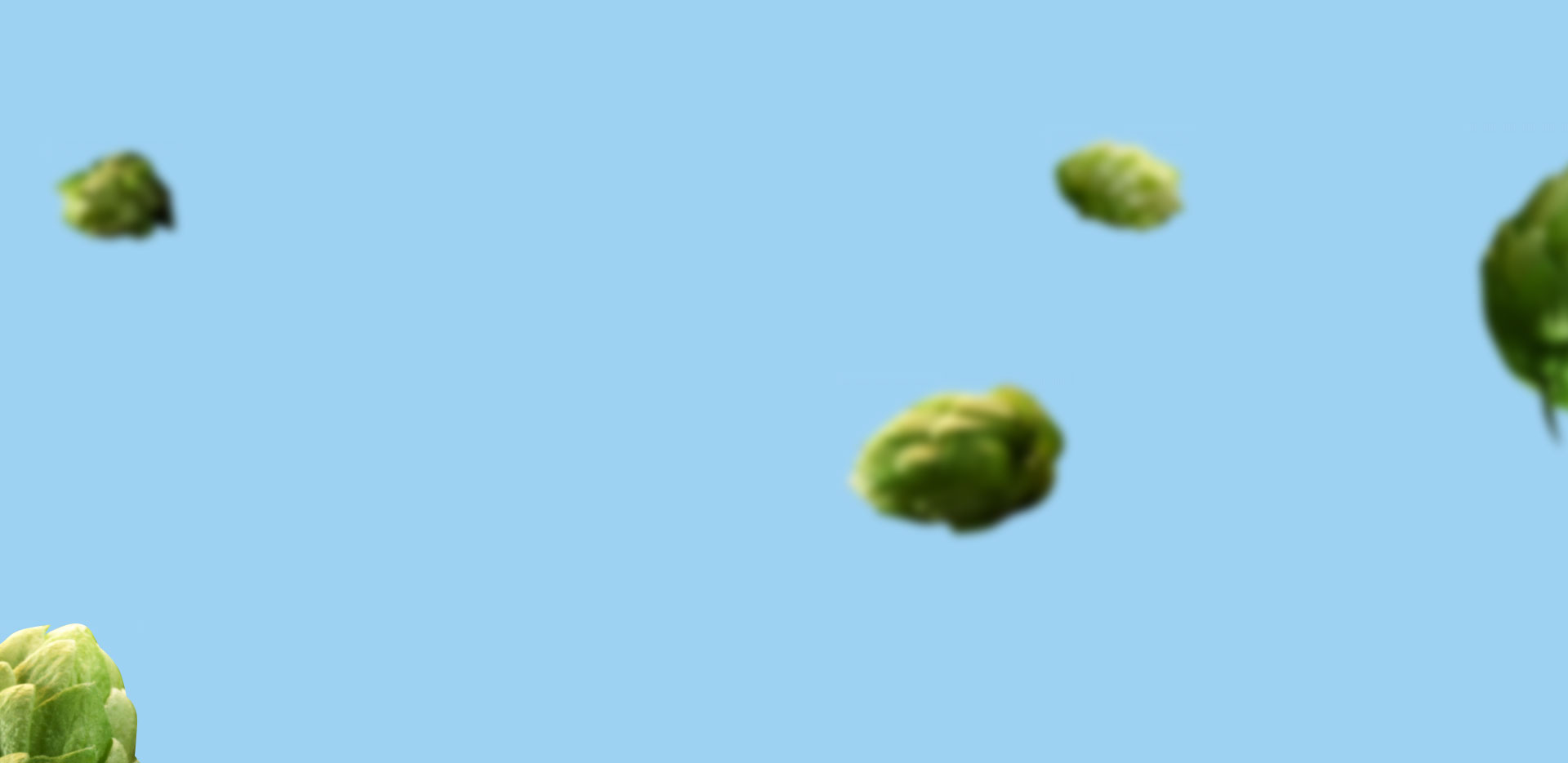 slider1-3.jpg